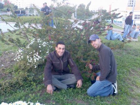 rachid et tawfik
